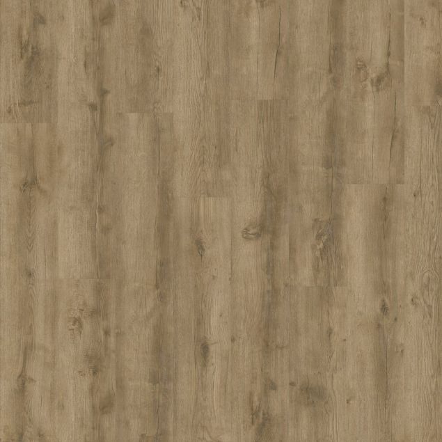 Orla - Arcana Dryback swatch image